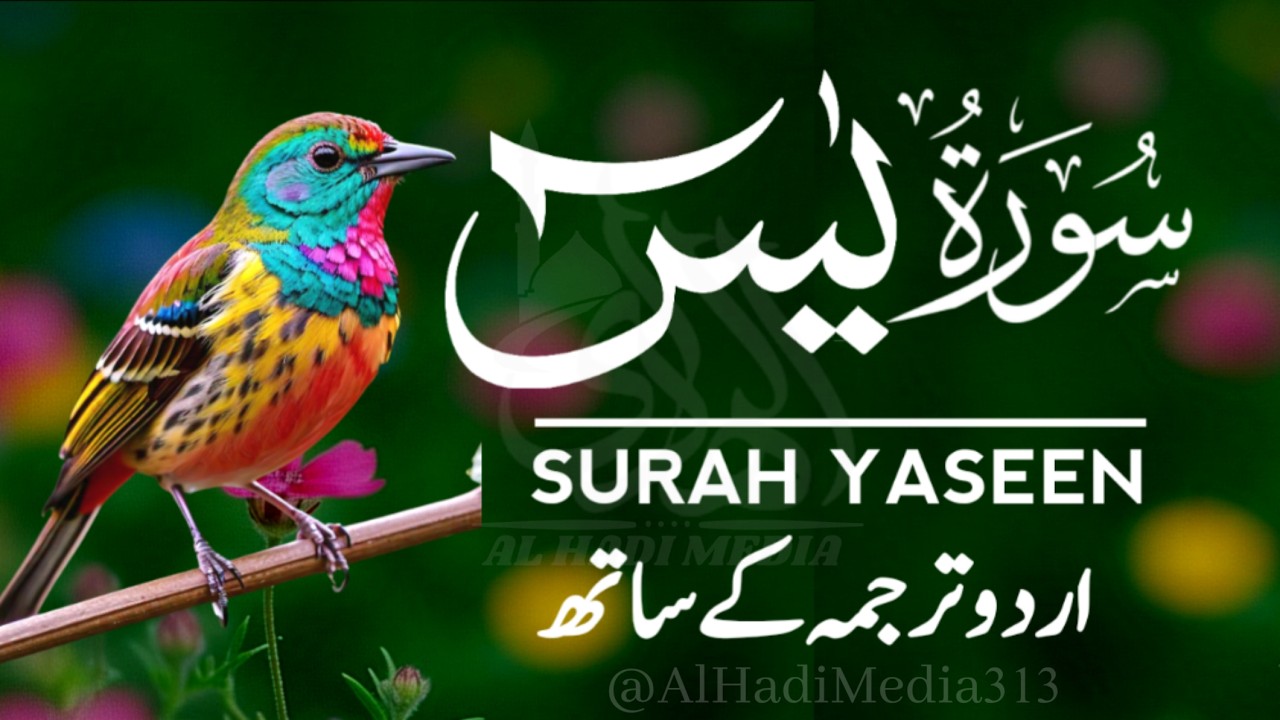 Surah Yaseen Complete with Urdu & Hindi Translation | Heart of Quran | Episode - 668
