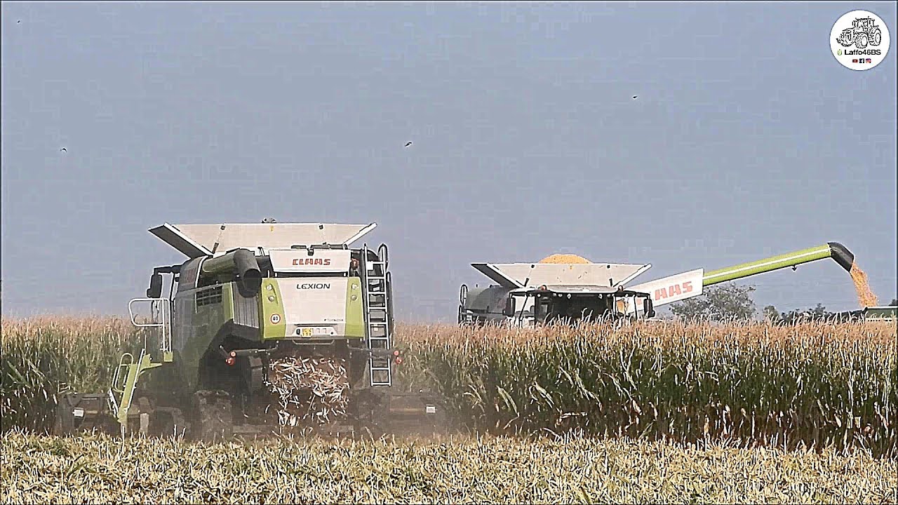 2 Claas Lexion 760 TT + Dominoni 10 rows & 2 JD 6R - COPETA - Big corn harvest 2019