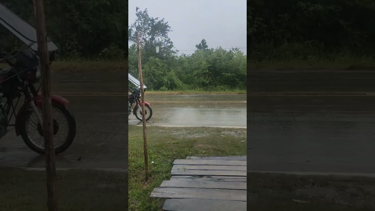 Severe tropical storm 