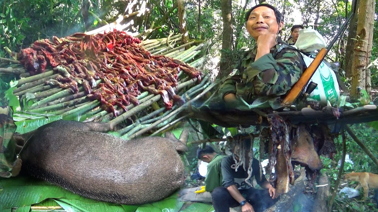 Wild Boar Hunting and Cooking in The Mountains/Yos hav zoov tua npua teb tua nraj