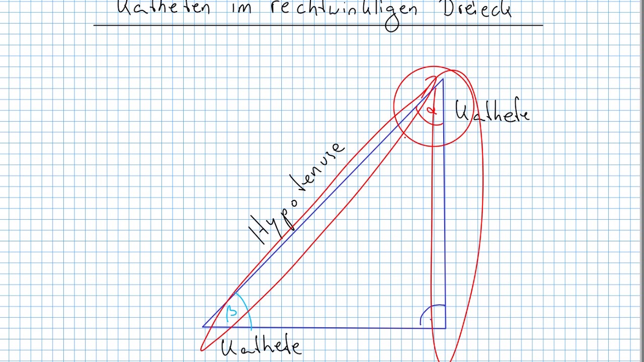 Katheten im rechtwinkligen Dreieck