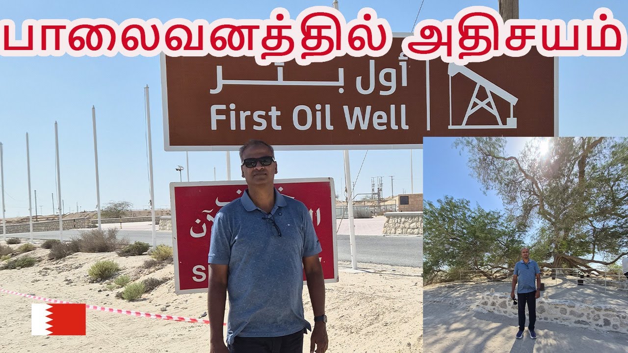 பாலைவனத்தில் அதிசயம் |  500 ஆண்டுகள் பழமையான மரம் | First Oil Well | Bahrain Fort