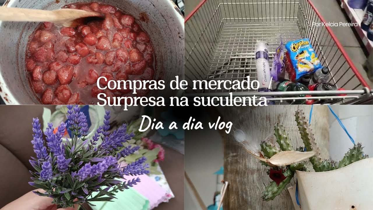 Compras da semana / Geleia de morango / Surpresa na suculenta
