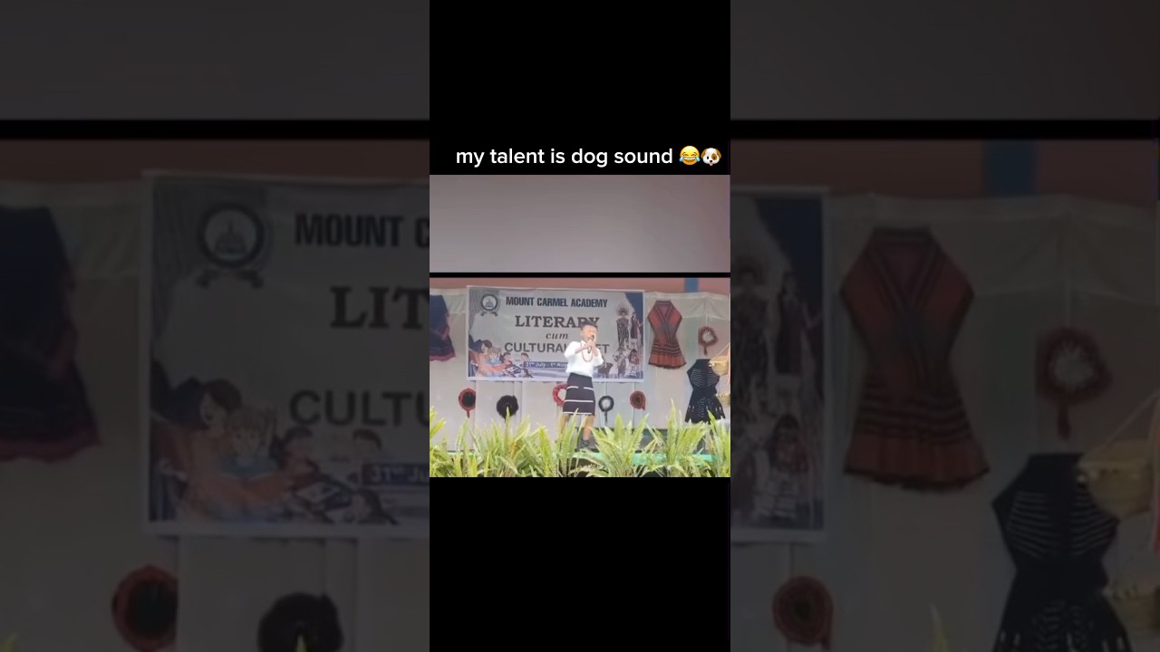 my talent is dog sound boy 🤣 🤣 #dog #nagaland #funnny #funny #boyfunnymoventstatus
