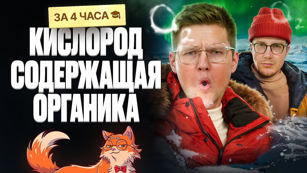 ВСЯ кислородсодержащая органика за 4 часа | Органика с НУЛЯ | Степенин и Дацук