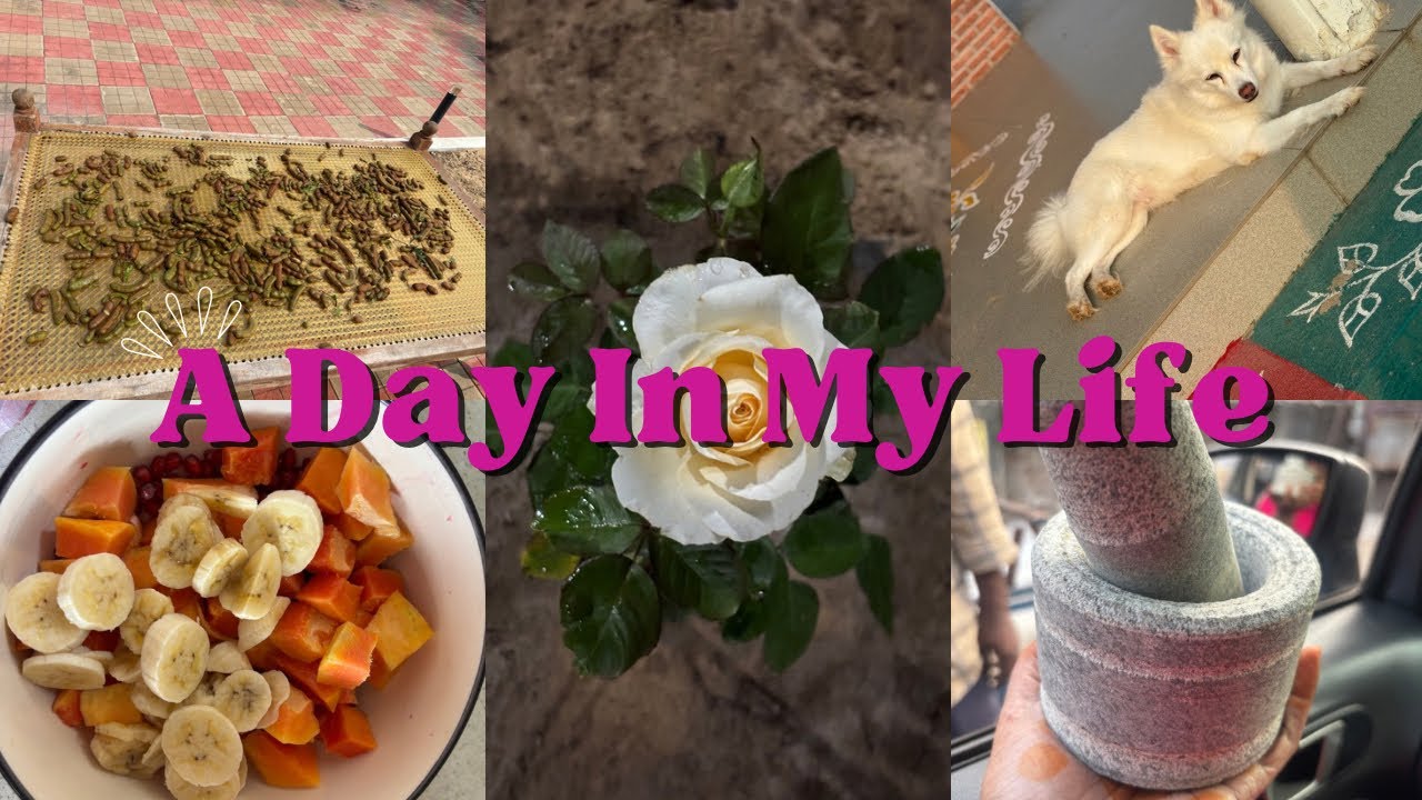 అలా ఒక రోజు |a day in my life |diml|villagelifestyle|shopping|plantsshopping|roses|moon 