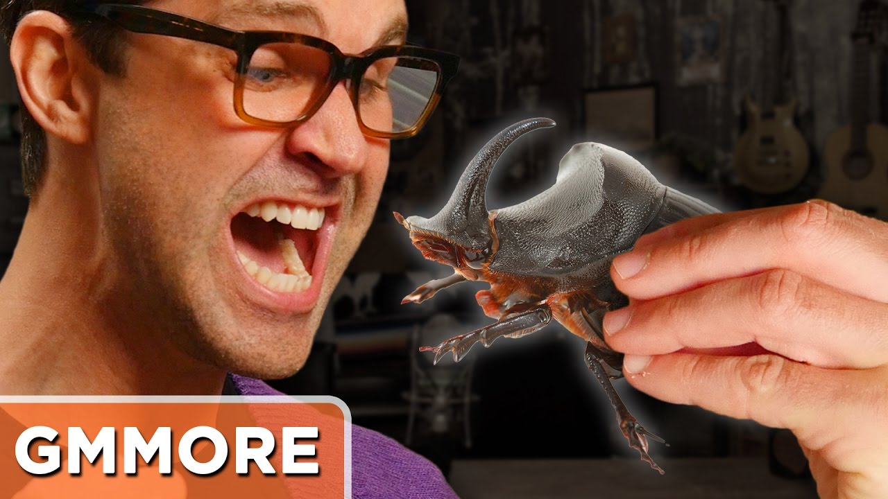 Eating Boiled Beetles
