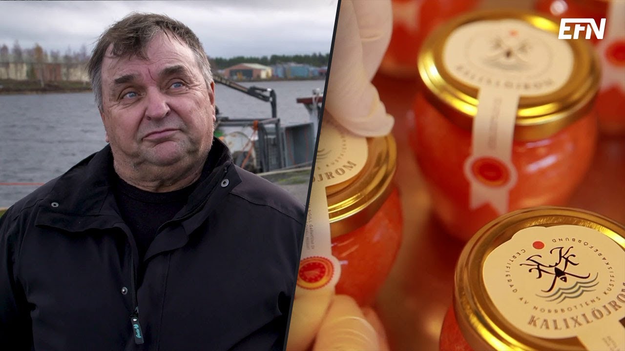 Regleringar – hot eller möjlighet för Kalix löjrom?