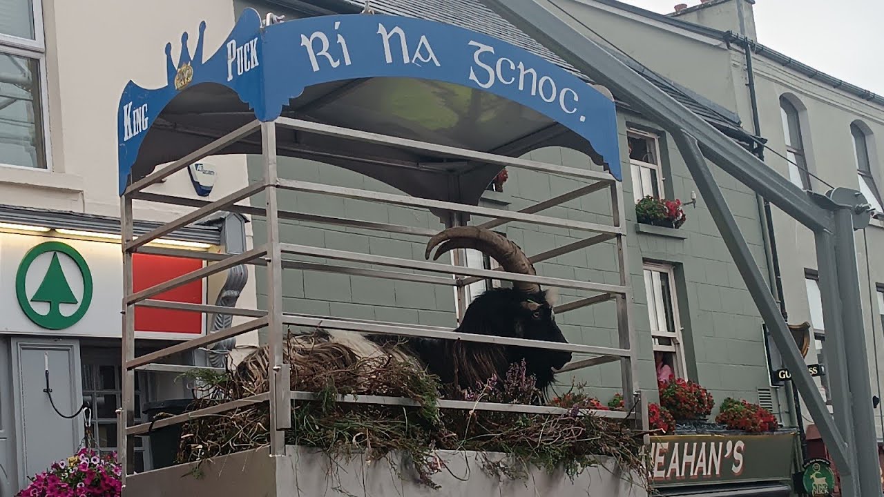 Puck Fair 2025 ( festa tradizionale Irlandese)