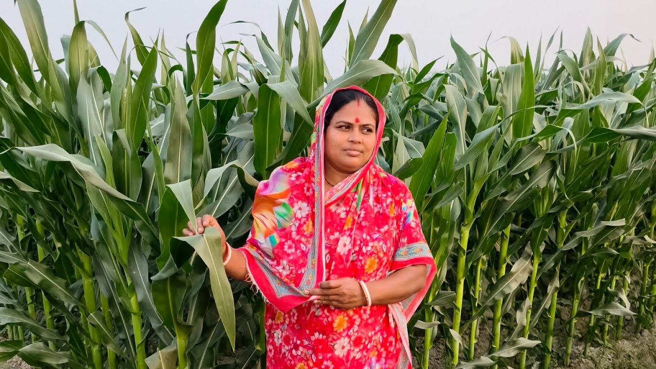 এত সুন্দর আমাদের গ্রাম! না দেখলে দুচোখে বিশ্বাস হতো না 😍🌿 | village vlog 