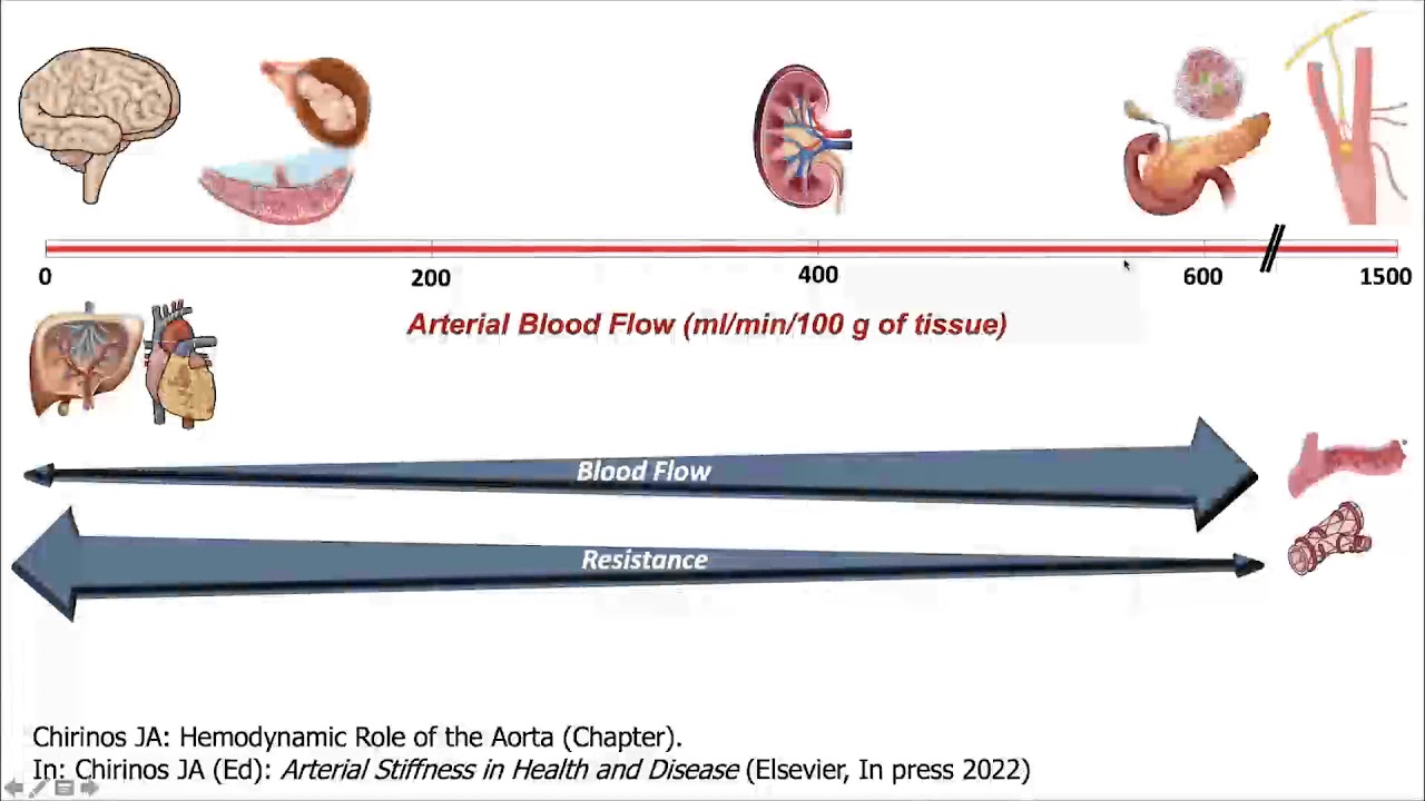 Large Artery Stiffness and Wave Reflection in Cardiovascular Disease