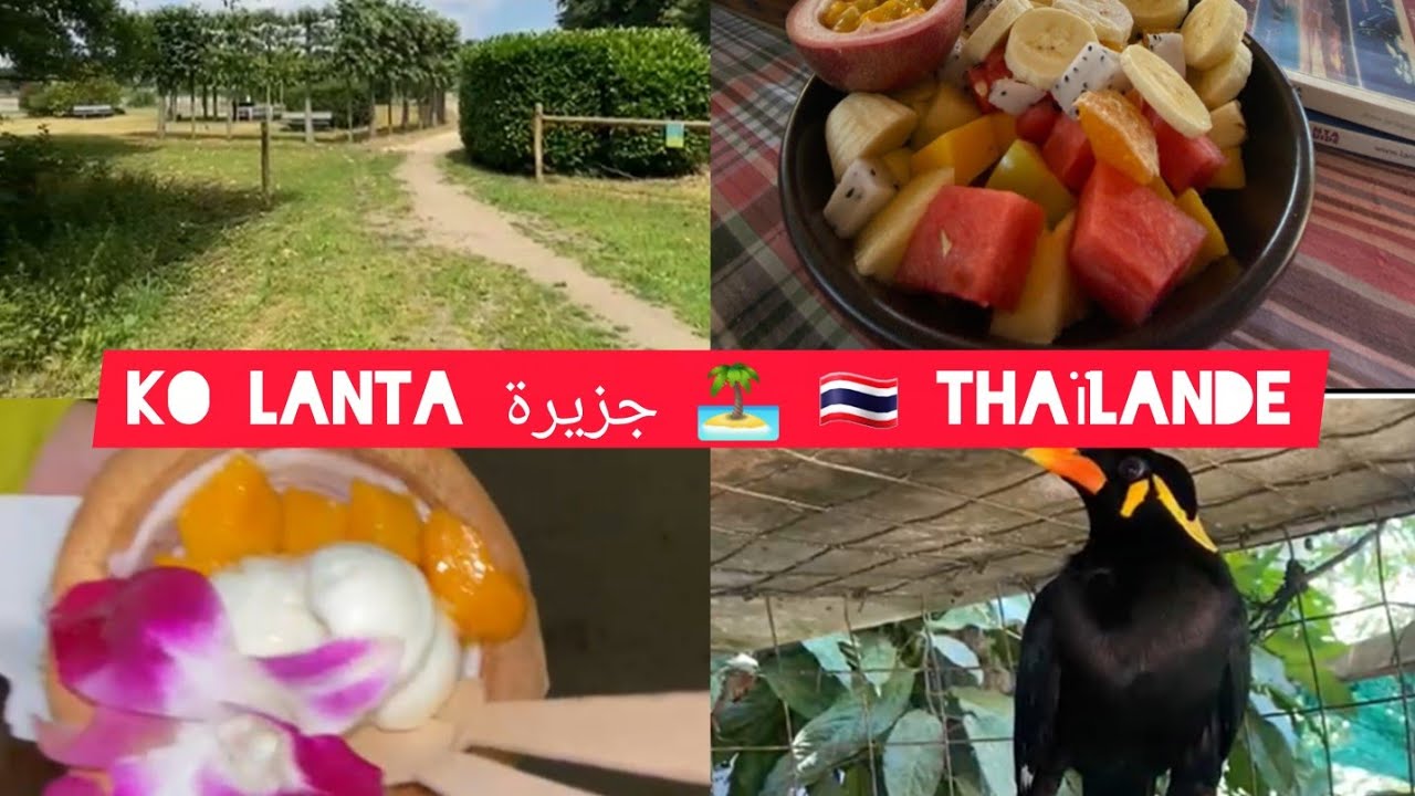 جولة رائع في  thailande جزيرة رائع 🚣‍♂️👍
