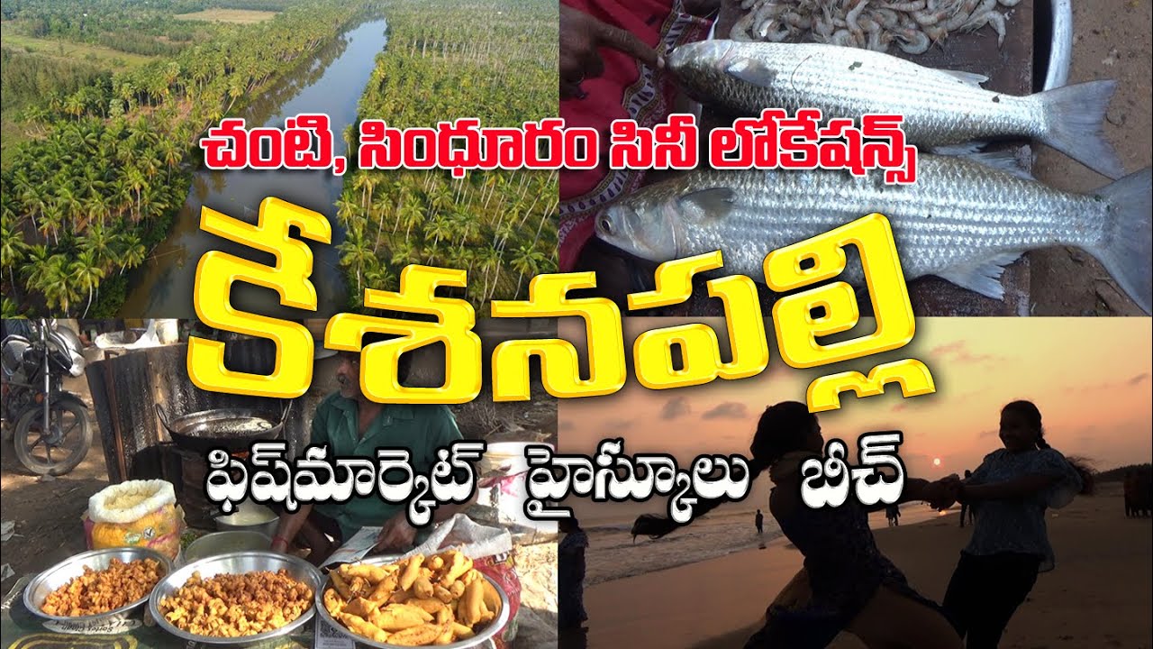 కేశనపల్లి - Kesanapalli village Tour - Fish Market - Beautiful Beach