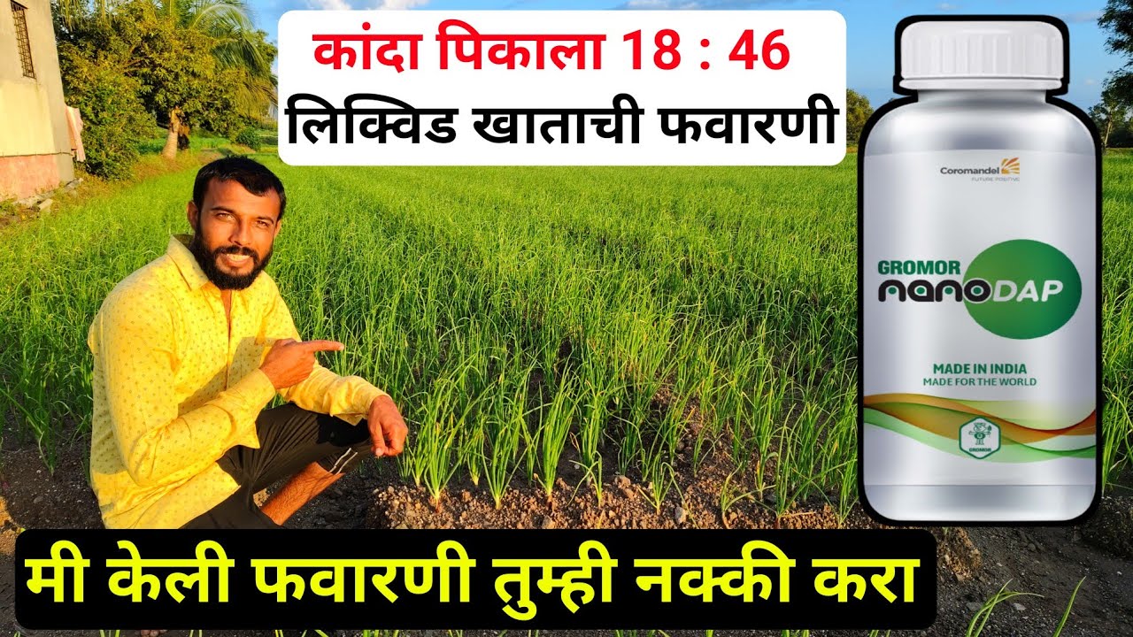 कांदा पिकाला 18:46 लिक्विड खाताची फवारणी फायदे | Gromor NANO DAP | कांदा दांड मान जाड | Nano Dap