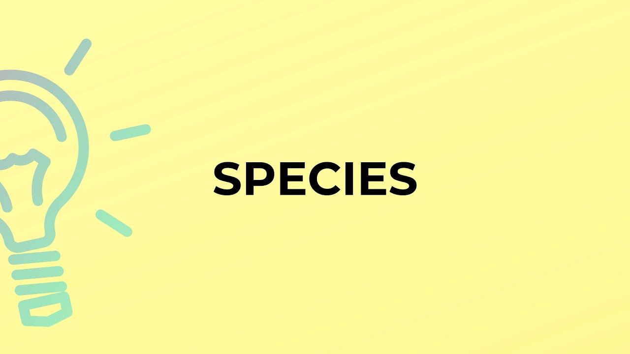 What is the meaning of the word SPECIES?