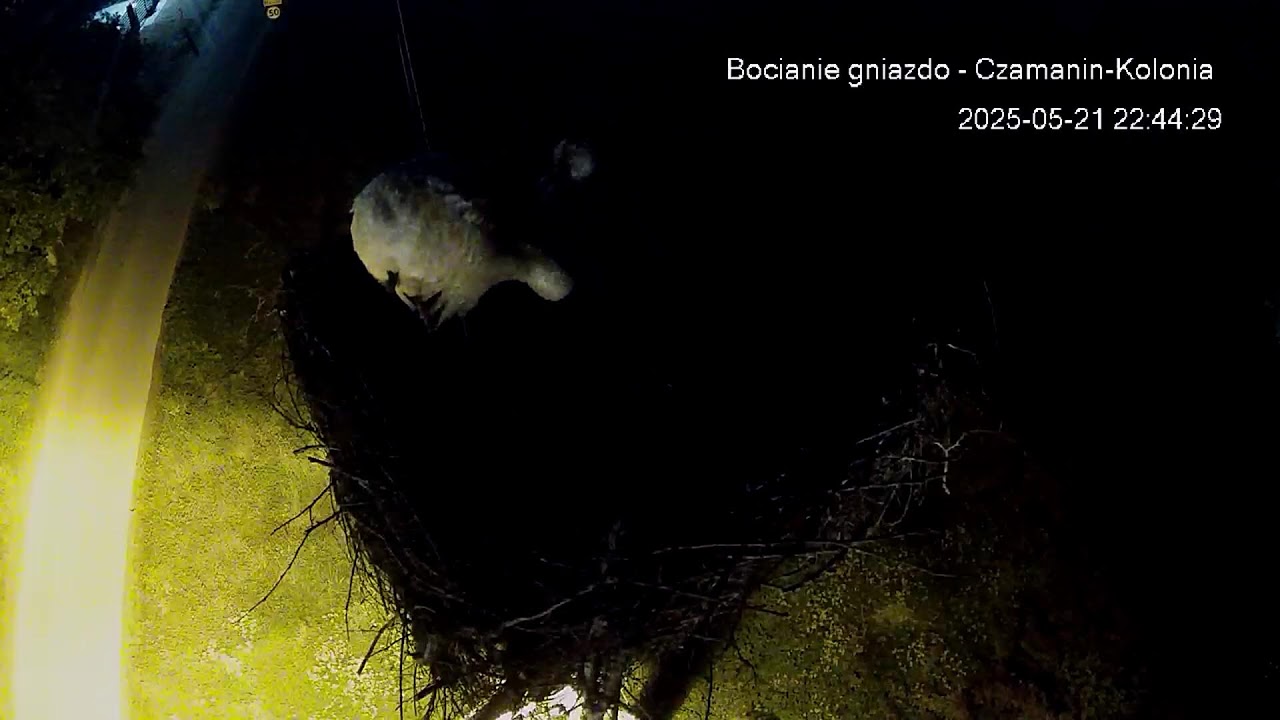 Gmina Topólka – transmisja na żywo