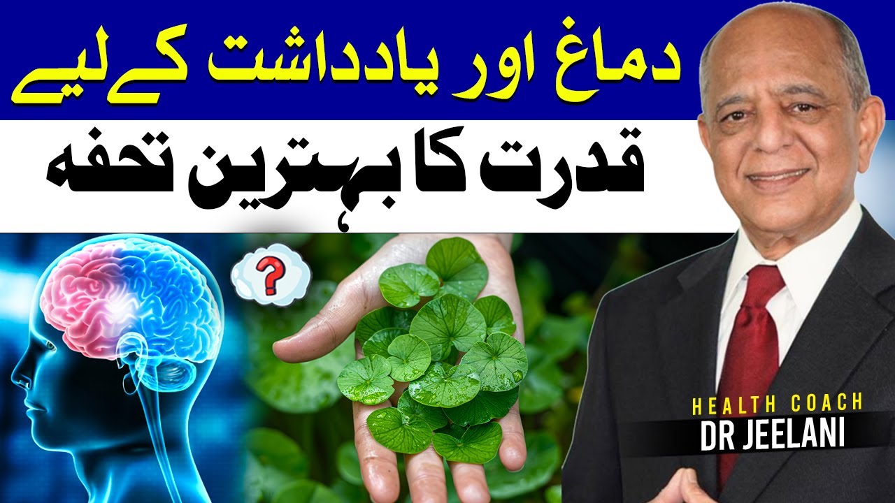 Dimagh Aur Yaddasht Ke Liye Qudrat Ka Behtareen Tohfa | Gotu Kola Benefits | Dr Jeelani