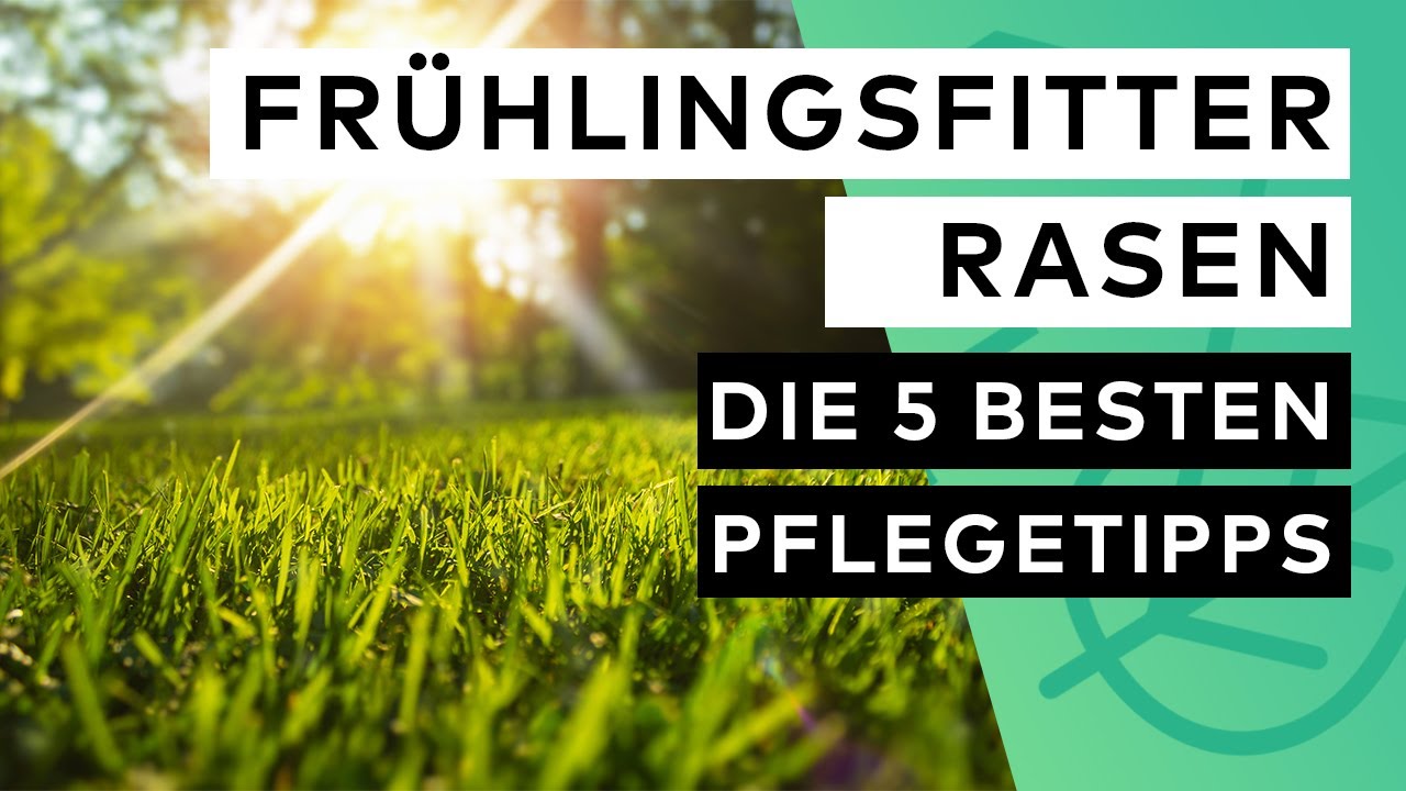 So machst du deinen Rasen frühlingsfit – Die 5 besten Pflegetipps