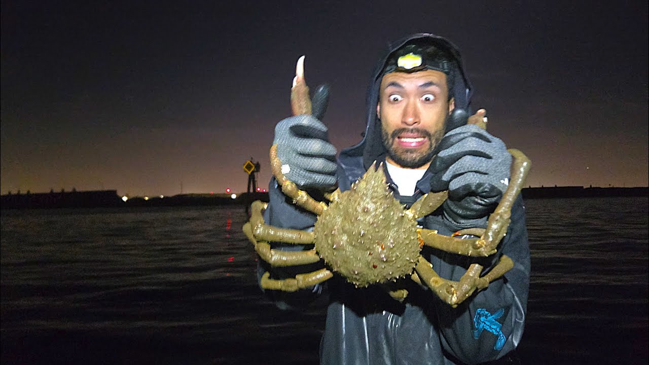 Night Fishing for Creepy Crawly Sea Creatures 8 Legs or More