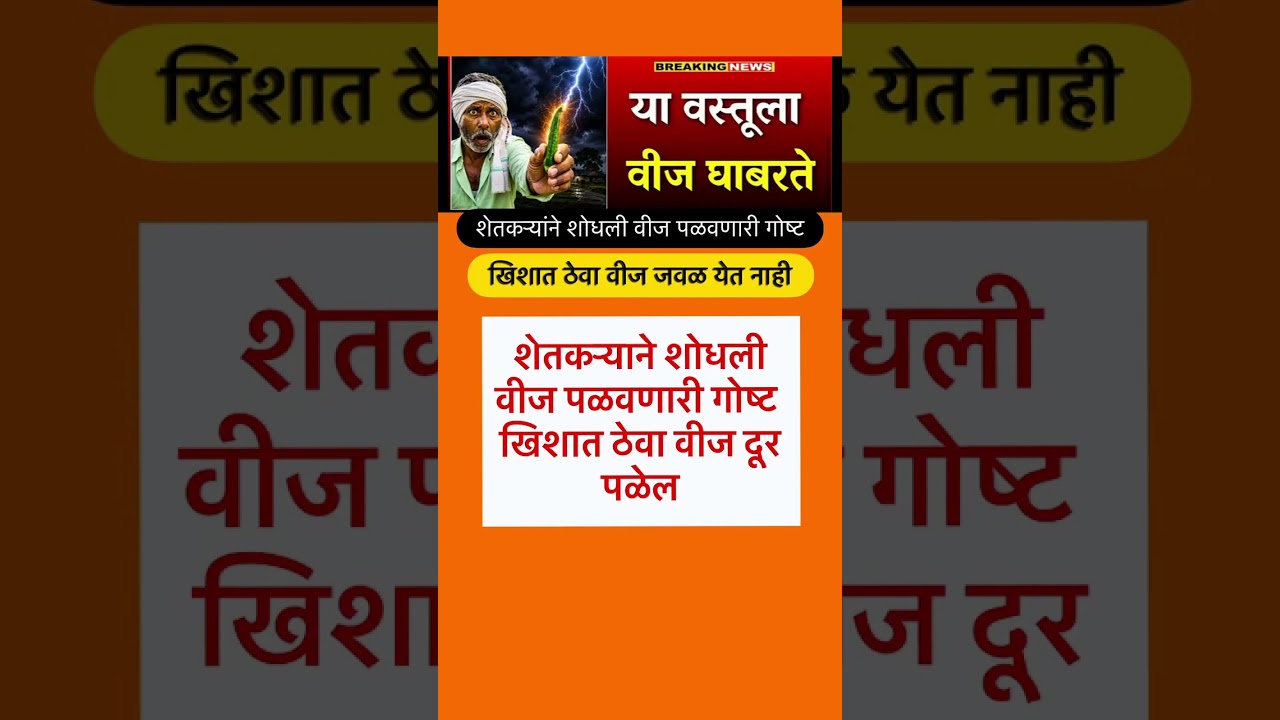#rohitpawar #ajitpawar #sharadpawar #supriyasule #vidhansabha#ncpsp#news #live #ncp#like
