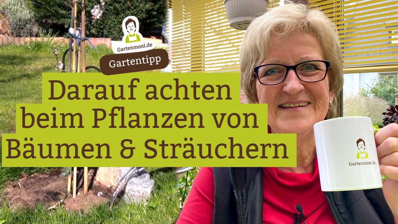 B&auml;ume und Str&auml;ucher pflanzen: Darauf solltest du achten