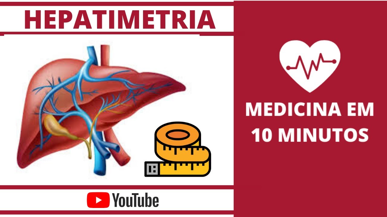 Hepatimetria: Como Realizar uma Hepatimetria