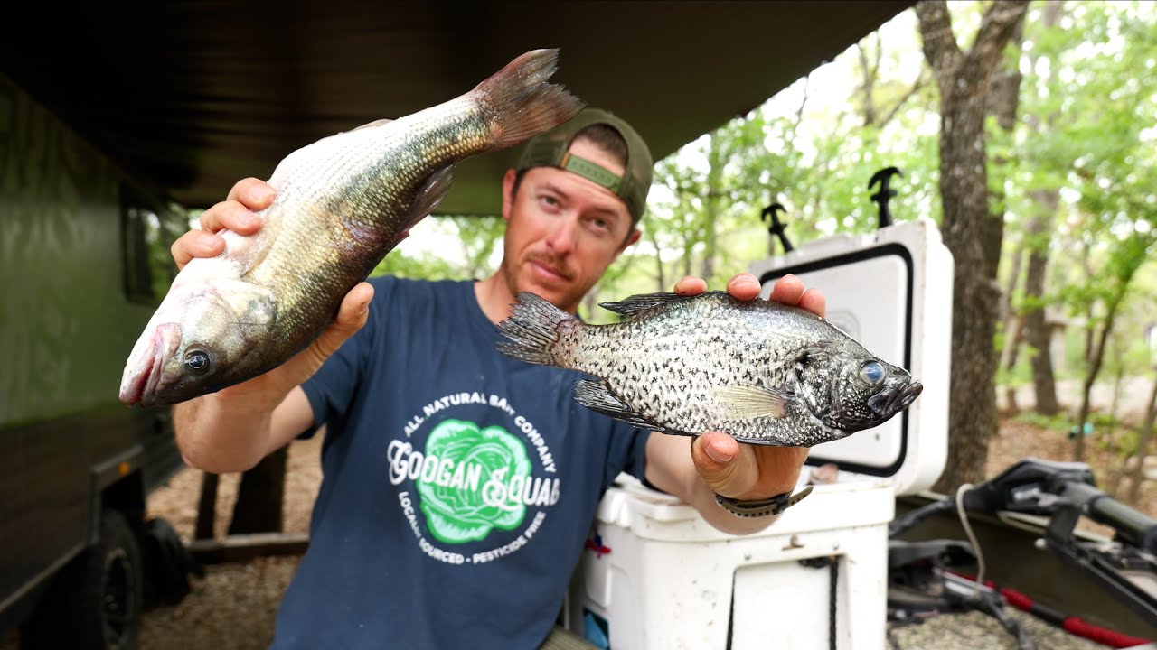 Crappie vs Bass Catch Clean & Cook