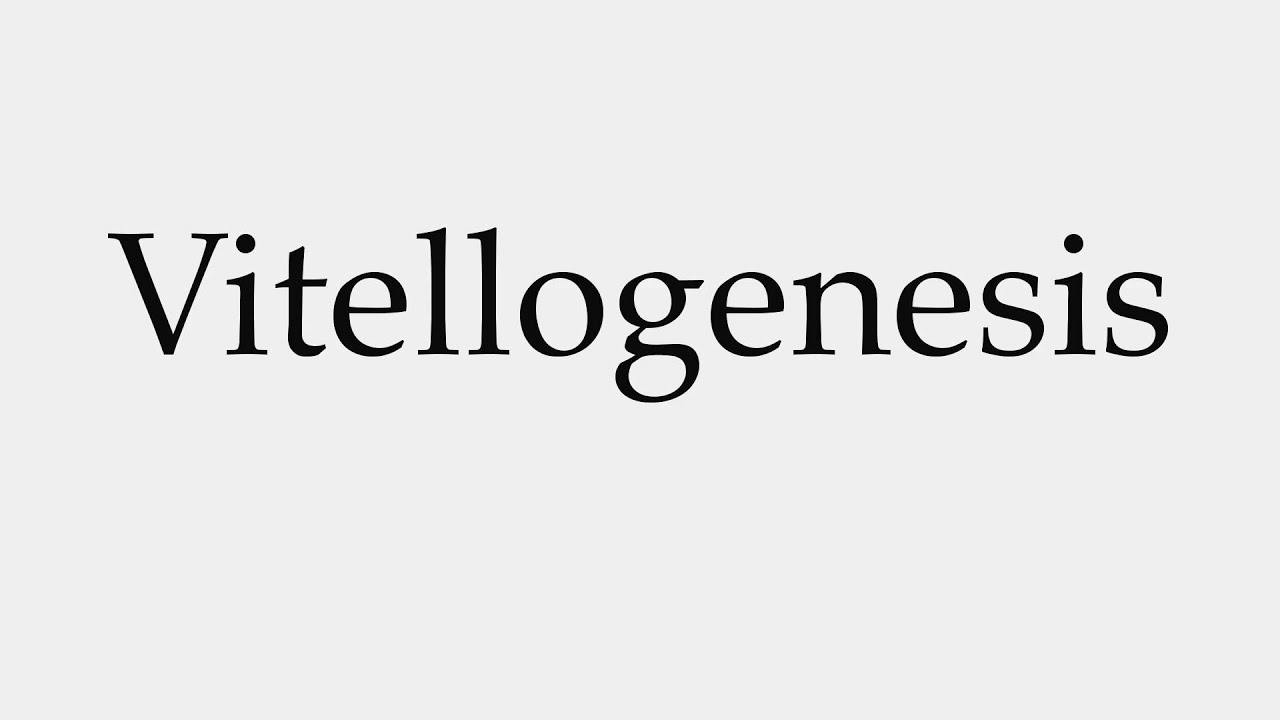 How to Pronounce Vitellogenesis