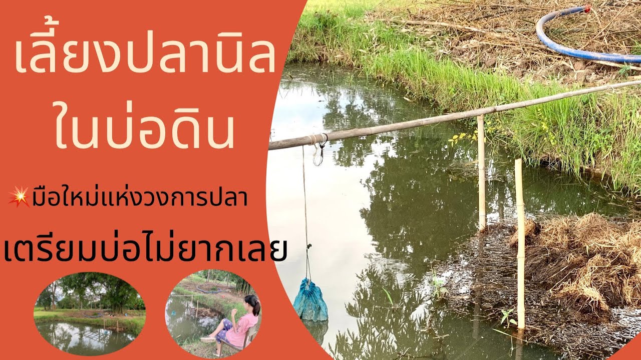 🐠เลี้ยงปลานิลในบ่อดิน 👋🏻มือใหม่…เริ่มต้นเตรียมบ่อปลา