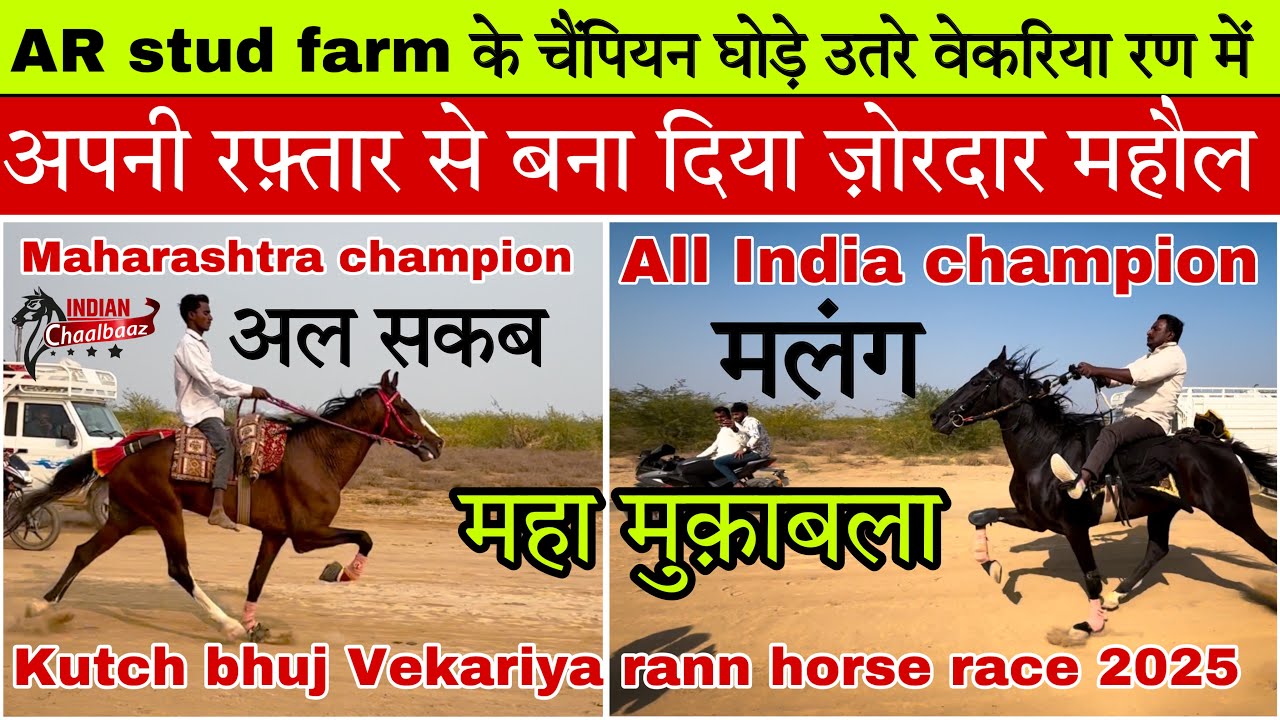 चैंपियन घोड़े मलंग और अल सकब ने मैदान में उतरते ही बना दिया ज़ोरदार माहौल #Kutchbhujrace2025