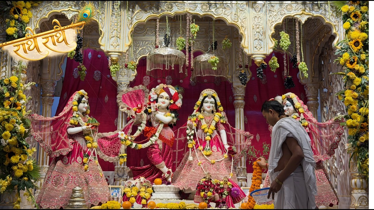 Radha Krishna Darshan at ISKCON Temple Gurgaon 🙏