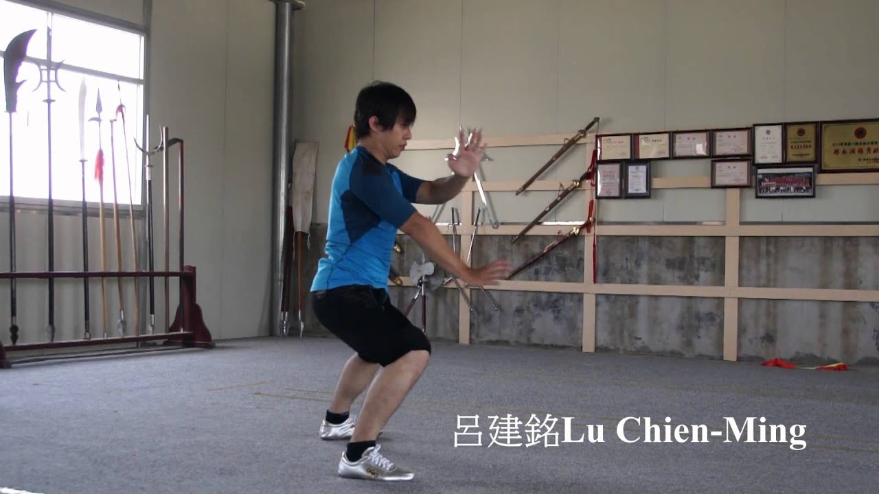 Wu Zu Quan(五祖拳) - San Zhan(三戰)  by  Lu Chien-Ming(呂建銘)