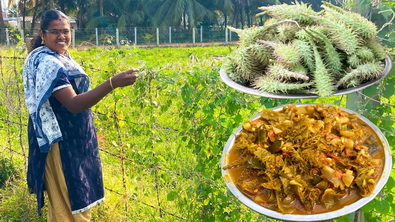 வேலிப்பருத்தி காய் குழம்பு  / ஏராளமான மருத்துவ குணங்கள் கொண்ட காய் / Veliparuthikaai Kulambhu