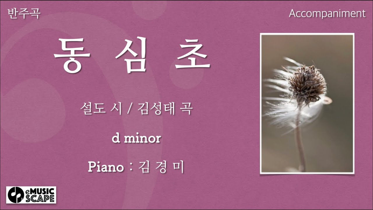 “동심초” d 단조 피아노 반주 Instrumental - 설도 시 / 김성태 곡