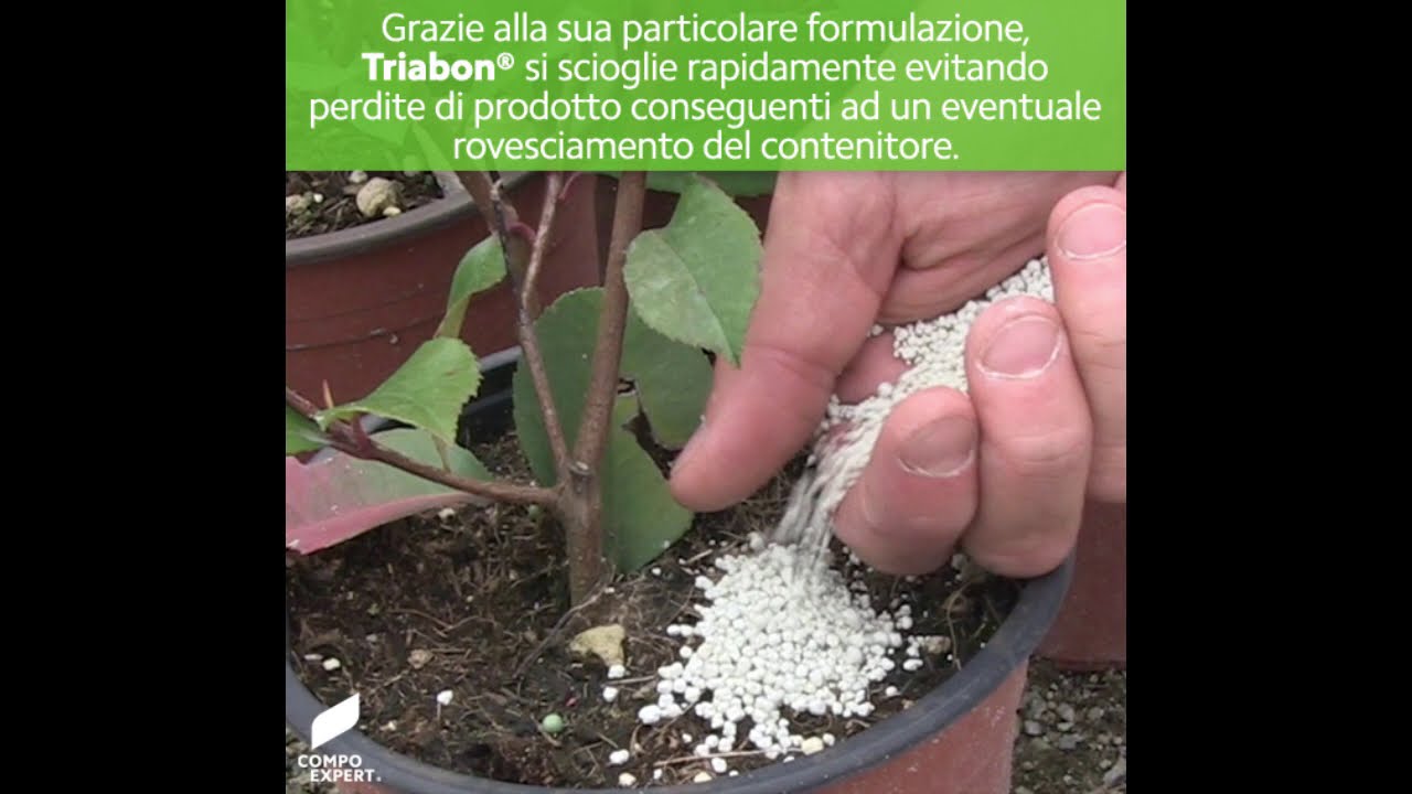 Concime a lento rilascio Triabon