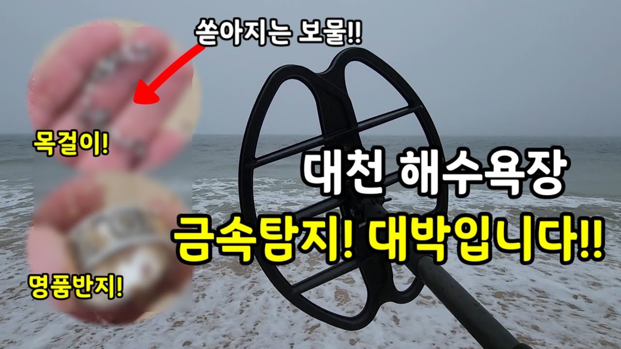 대천 해수욕장에서 금속탐지하면 뭐가 나올까?+여러분에게 금반지를 드립니다!(어그로 아님)