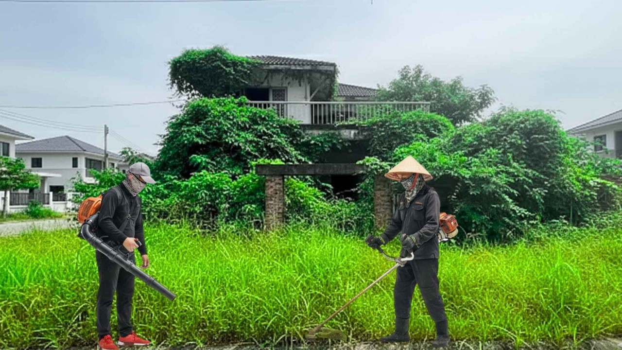 $2 million left neglected! Overgrown with weeds - The surprising truth after cleaning up.
