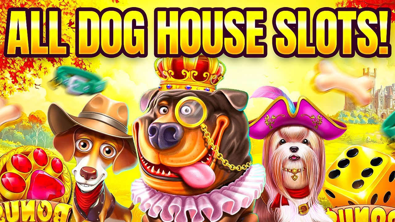 I TRIED EVERY DOG HOUSE SLOT&hellip; AGAIN!! (Bonus Buys)