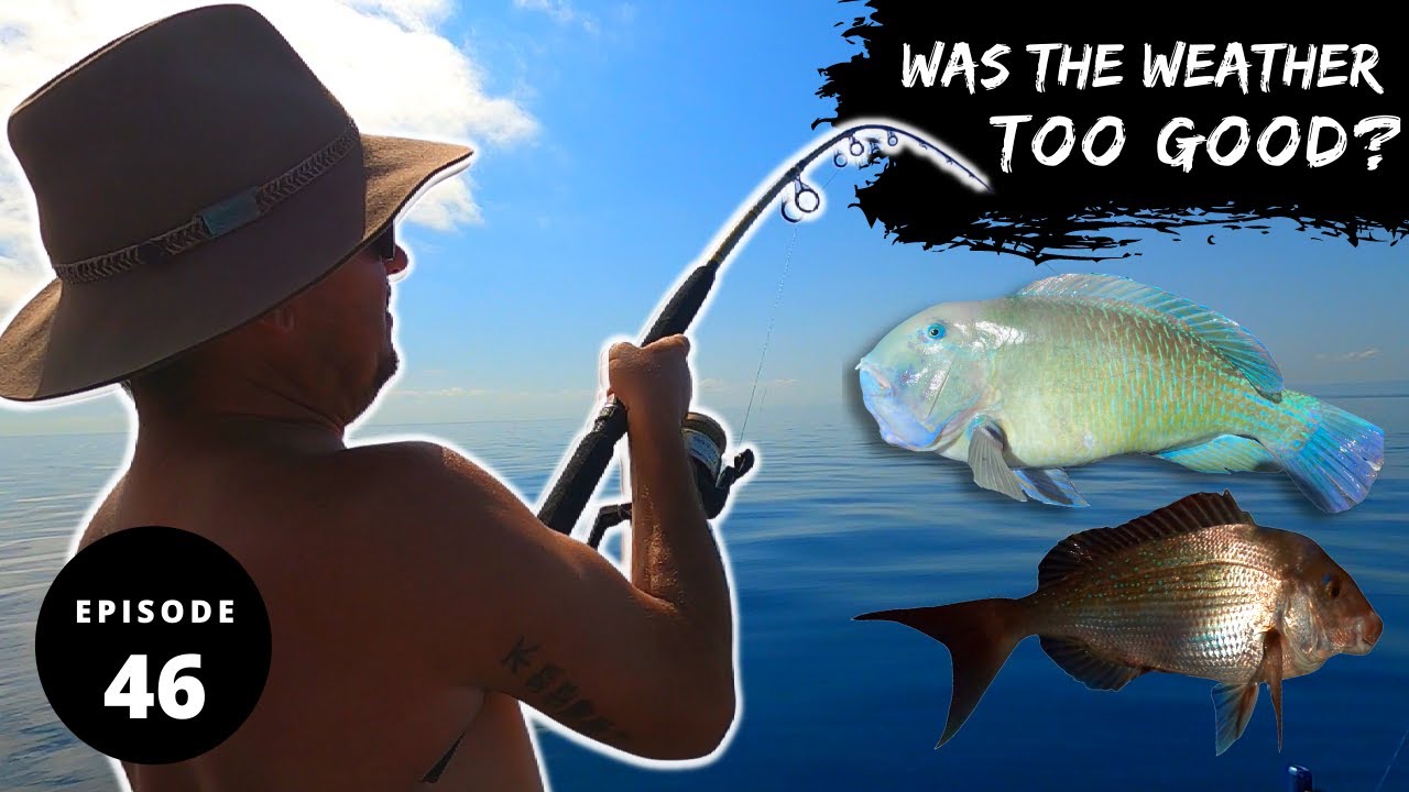 WHAT HAPPENS WHEN THE WEATHER IS TOO GOOD? | BLUE BONE | SNAPPER | NIGHT FISHING MORETON BAY - Ep 46