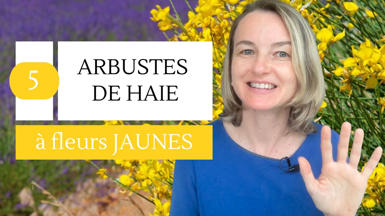 5 arbustes à fleurs jaunes pour illuminer votre haie !