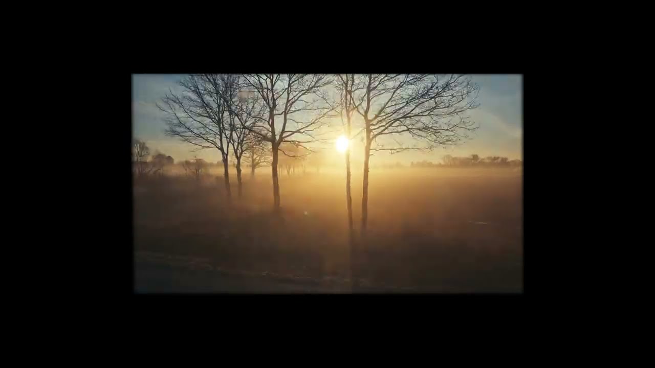 cała jaskrawość | all the brightness