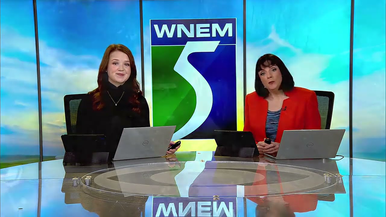 Утренний выпуск WNEM: Жители Хэмптон-Тауншипа ставят под сомнение предложенный проект солнечной э...