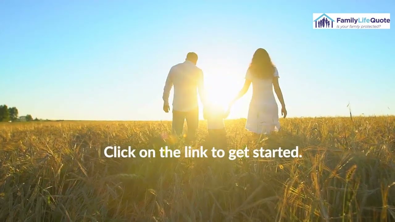 Securing Your Future: Term Life Insurance