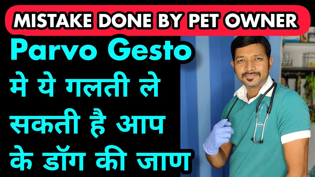 Mistake In  Parvo Gastro Which Will Kill Your Dog |Why Parvovirus Treatment Fails Parvovirus in dogs