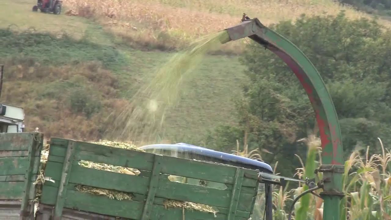 VIDEO PRIRUČNIK ZA RATARE  - STANDARNI HIBRIDI  - 2370 - ULTRA RANI - ULTRA SUVI