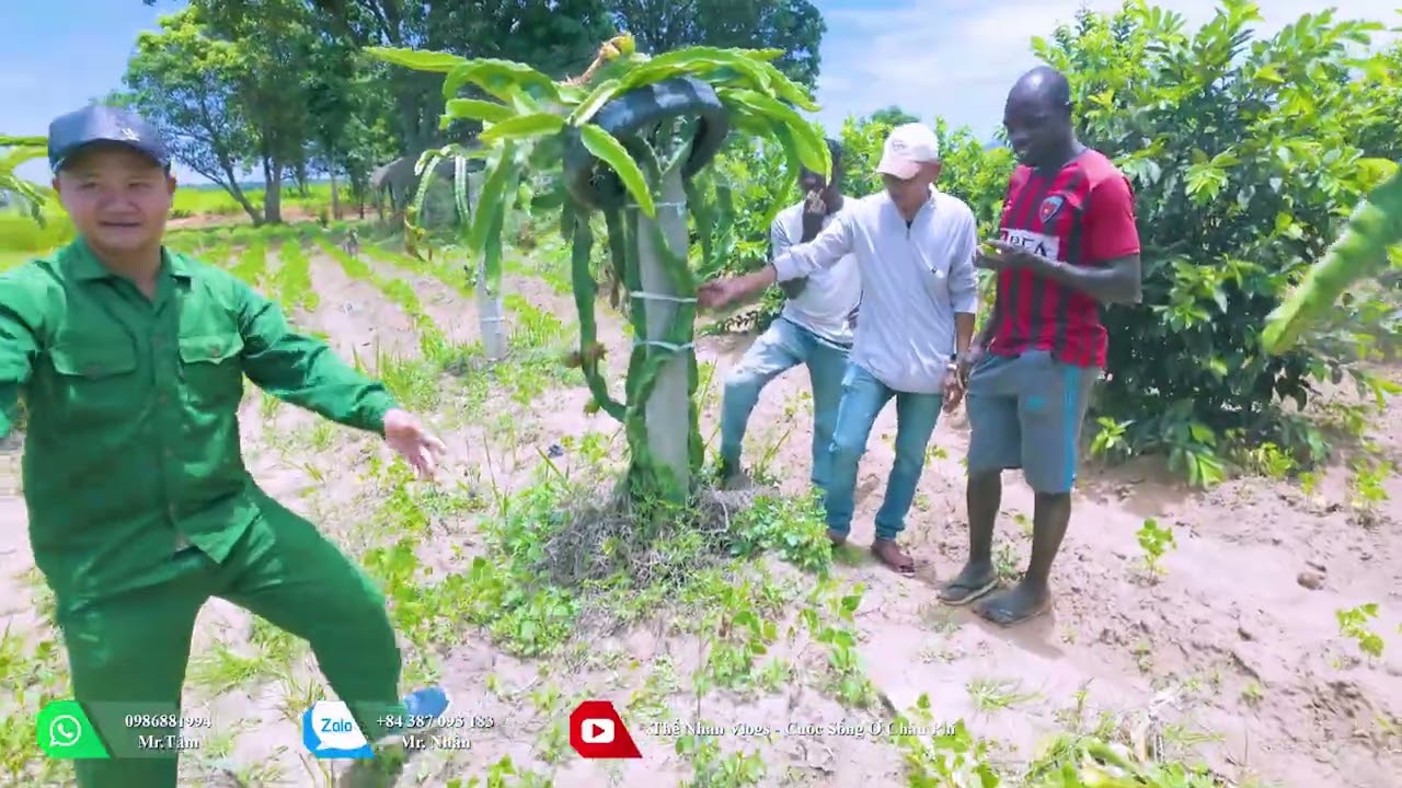 Thế Nhân || Cận Cảnh Diện Mạo Mới Của Quang Linh Farm. Một Chuyến Đi hai Mục Đích