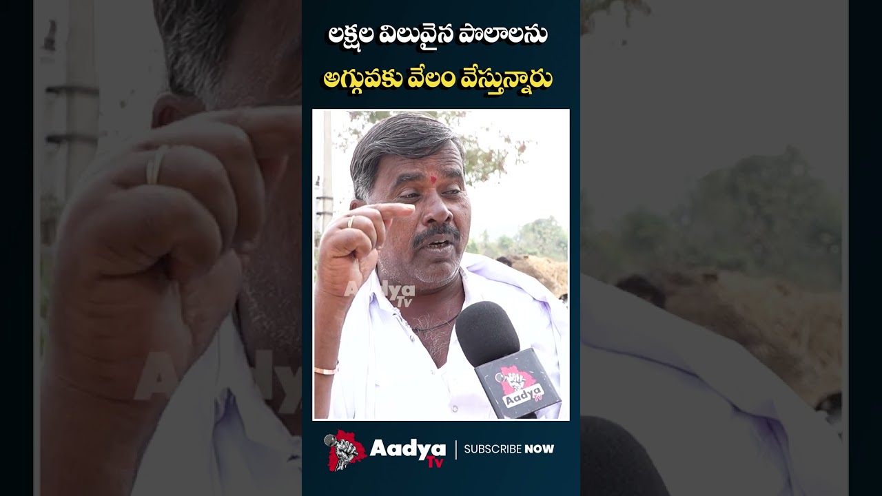 common sensational comments On Cm revanth reddy Over Runamafi #runamafi #revanthreddy #aadyatv