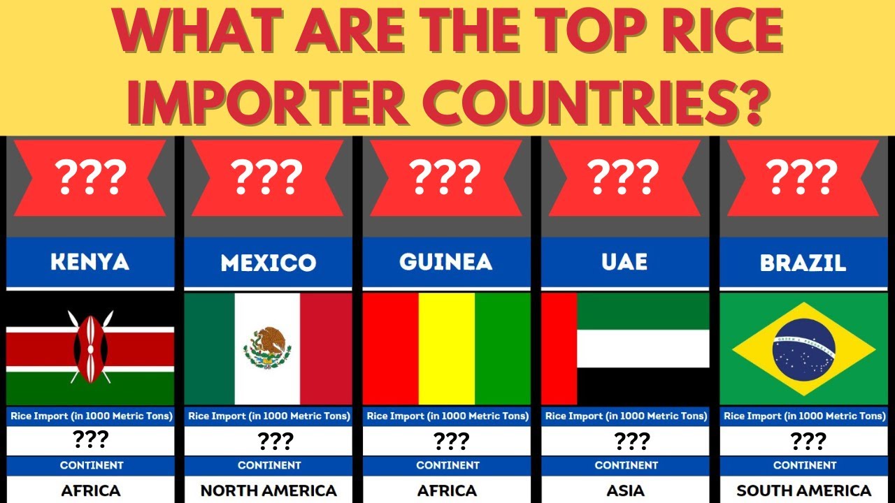 Fascinating Truth: Top Rice Importer Countries In 2024 (Top Rice Importer)