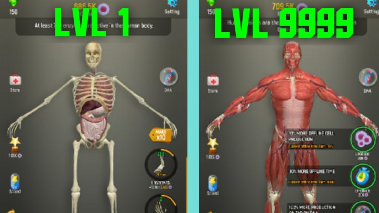 Idle Human! ARE ALL HUMANS LIKE THAT? MAX UPGRADE ORGANS!