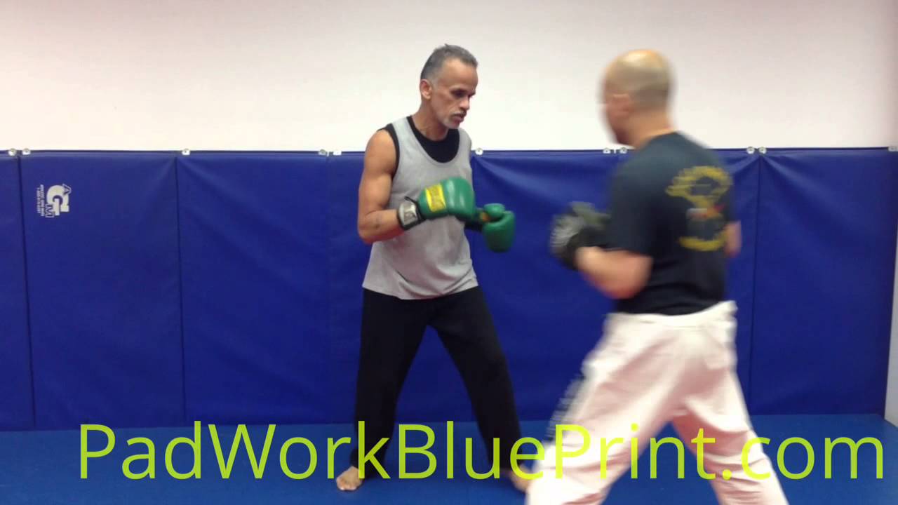 Boxing Focus Mitt 5 Combo Combination Pad Work Focus Mitt Drills